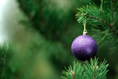 Christmas composition.  Stock Photos