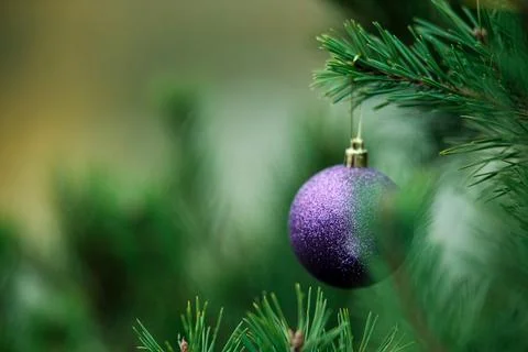 Christmas composition.  Stock Photos