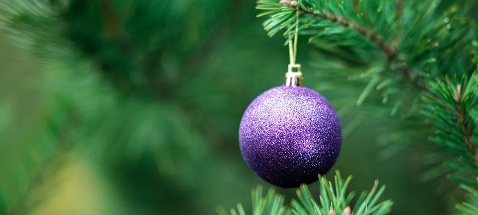 Christmas composition.  Stock Photos