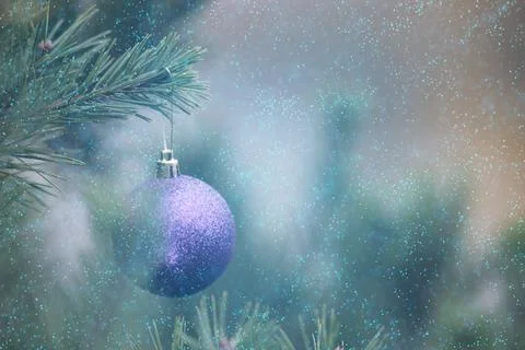 Christmas composition.  Stock Photos