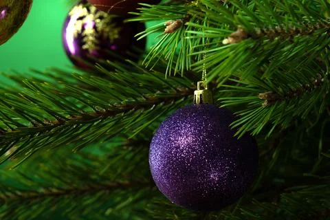 Christmas composition.  Stock Photos