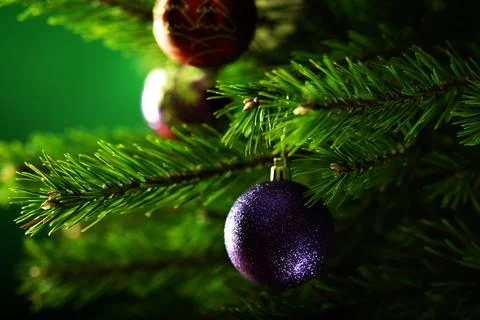 Christmas composition.  Stock Photos