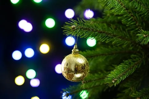 Christmas composition.  Stock Photos