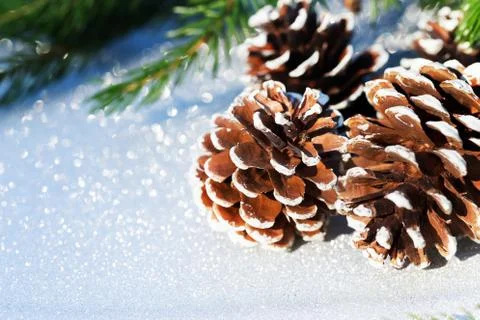 Christmas composition with pine cone Foto stock