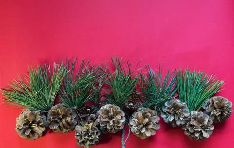 Christmas composition - pine cones and pine branches on a red background Stock Photos