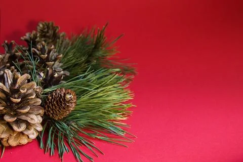 Christmas composition - pine cones and pine branches on a red background Stock Photos
