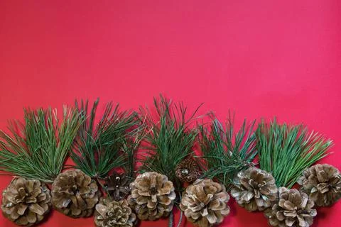 Christmas composition - pine cones and pine branches on a red background Stock Photos
