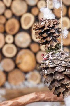 Christmas composition for postcard Stock Photos