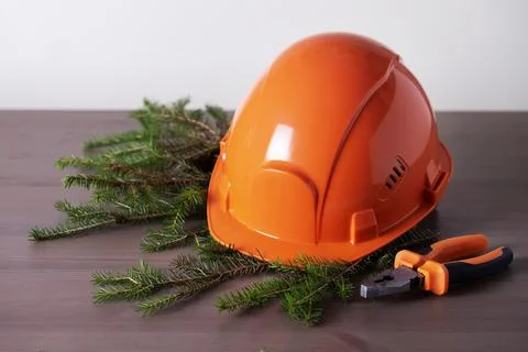 Christmas composition of protective helmet, tool and fir branches Stock Photos