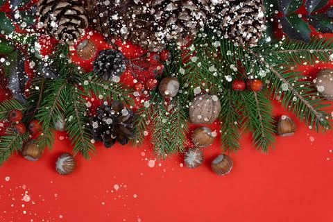 Christmas composition on red background Stock Photos