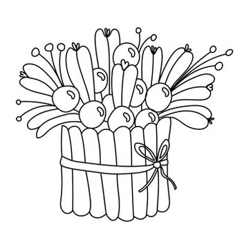 Christmas composition with spruce branches and berries doodle. Stock Illustration