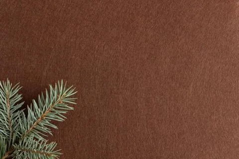 Christmas composition, spruce branches on brown felt background, copy space Stock Photos