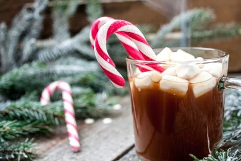 Christmas composition. Spruce branches, candy cane, snowflake Stock Photos