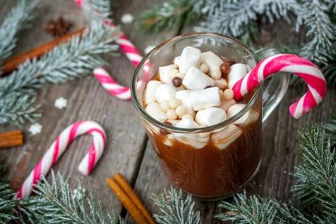 Christmas composition. Spruce branches, candy cane, snowflake Stock Photos