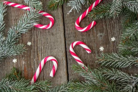 Christmas composition. Spruce branches, candy cane Stock Photos