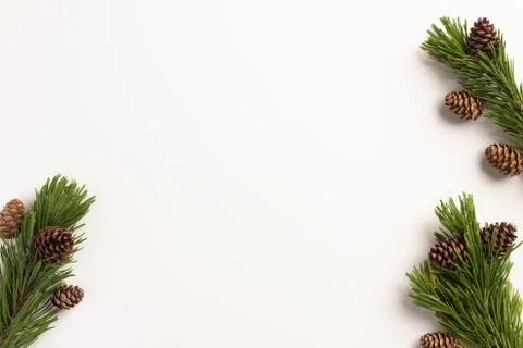 Christmas composition. Spruce branches with cones, on a white background. Chr Stock Photos