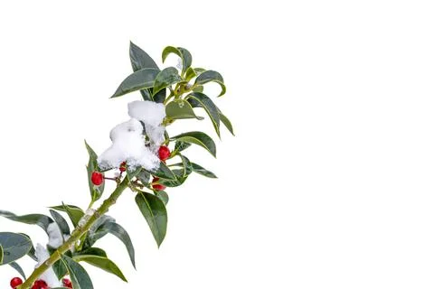Christmas concept with copy space Stock Photos