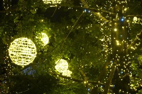 Christmas Concept , Decoration Lighting on the trees Stock Photos