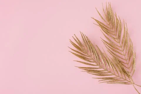 Christmas concept with palm tree leaf, copy space. Stock Photos