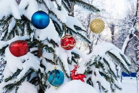 Christmas concept Stock Photos
