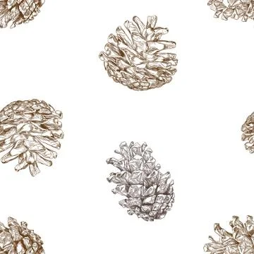 Christmas concept , pine nut seamless pattern. Stock Illustration