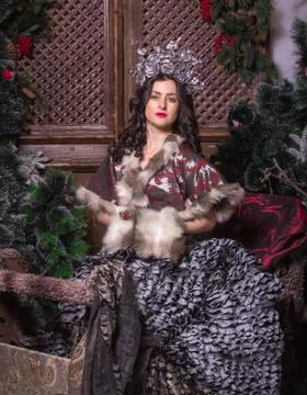 Christmas concept. Pretty woman in carnival dress. Stock Photos