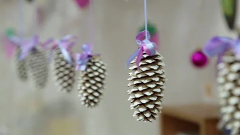 Christmas cones Stock Footage 221501277