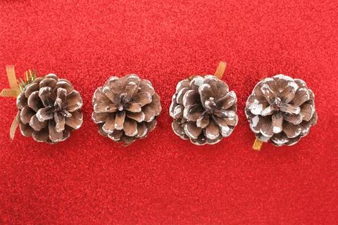 Christmas cones Stock Photos