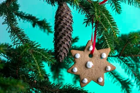 Christmas cookie Stock Photos