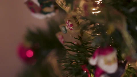 Christmas cookie tree decoration Stock Footage 226378569