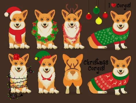 Christmas Corgis. Vector Illustration. Stock Illustration
