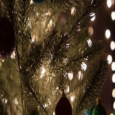 Christmas Day Stock Footage 69707649