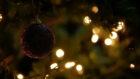 Christmas Day Stock Footage 69726899