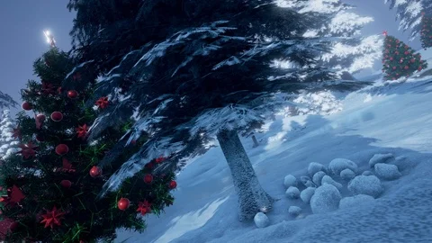 Christmas in Daylight Stock Footage 86387101