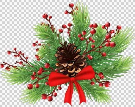 Christmas decor with green pine branches, pine cones, balls, mistletoe, red.. Stock Illustration