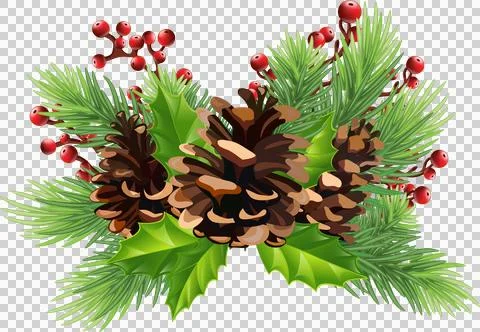 Christmas decor with green pine branches, pine cones, balls, mistletoe, red.. Stock Illustration