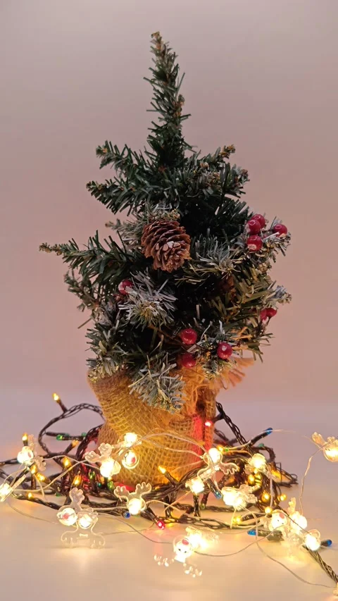 Christmas decor with lights Stock-Footage 322679917