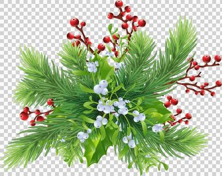 Christmas decor, pine, red berries, mistletoe, holly and cones.transparent,.. Stock Illustration