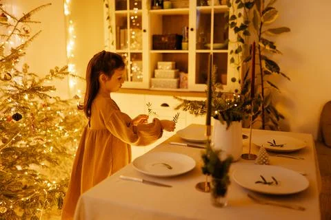 Christmas decor in the setting of a festive table for lunch or dinner. Stock Photos