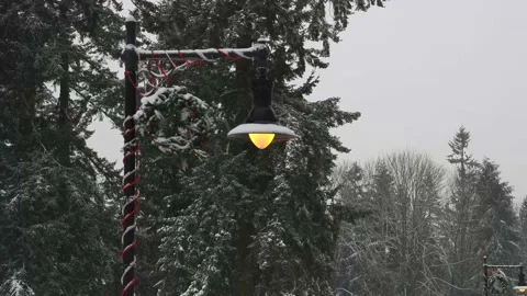 Christmas decorated pole with light. Stock-Footage 143988592