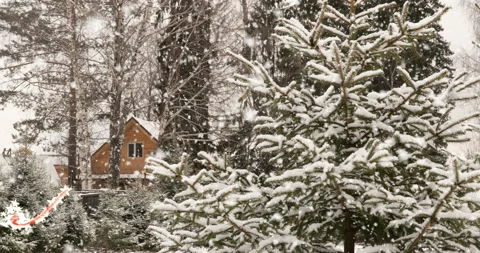 Christmas decorated tree with flickering lights at winter snowfall and forest Stock Footage 121405293