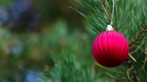Christmas decoration on coniferous trees Stock Footage 43035802