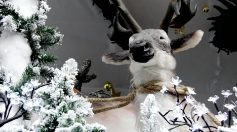 Christmas decoration 스톡 동영상 45296795