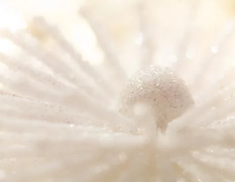 Christmas decoration macro Stock Photos