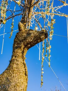 Christmas decoration in Mitch Park Foto stock