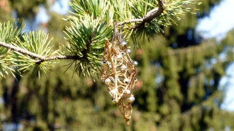 Christmas decoration on pine tree Stock Footage 88774032