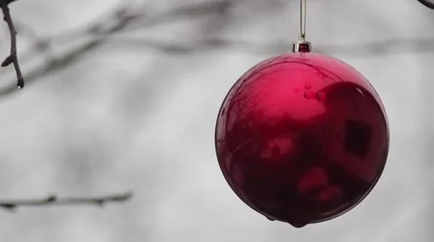 Christmas decoration in a tree Video stock 47185107