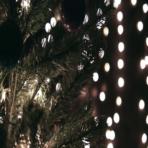 Christmas Decoration On Tree Stock Footage 69702854