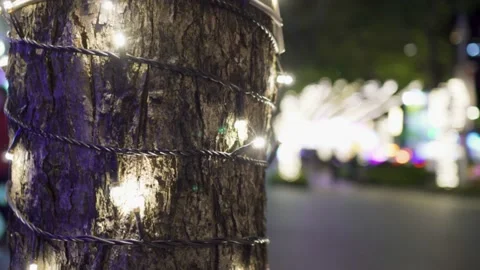 Christmas decorations in the Department store or church. Video stock 166344129