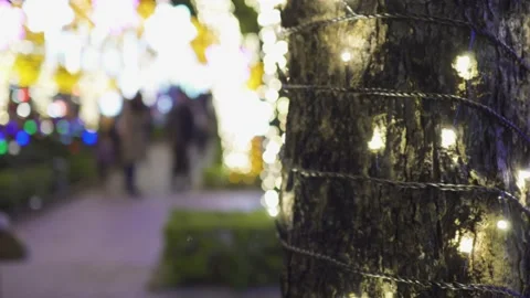 Christmas decorations in the Department store or church. Stock-Footage 166344198